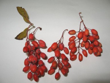 ��������: �� ����� ������� �� ����