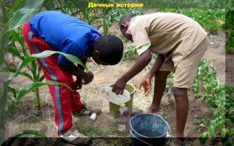 ���������� ���������, ������������� ������ � ������������ �������