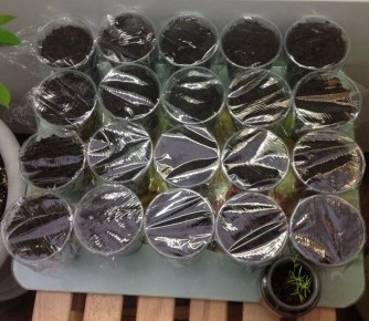 ����� ������� ������ � �������: ������� ������