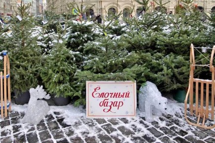 ��� �������� ����� ���������� ����: ������ ��� ��������� ���������