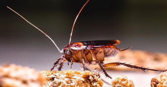 ����������� ������ � �����������: ���� ������� ����������