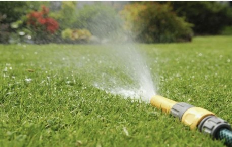 Как сохранить газон зелёным в жару: практические советы