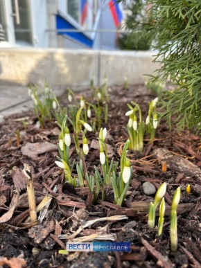 �������, ���������!. �������� ������ ������