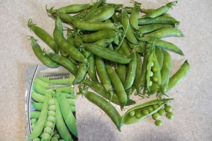 ��� ��������� ��������� ������� �������: ������� ����� '������ 301'