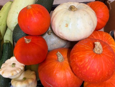 Тыквенный бум: московские ярмарки собрали почти 100 тонн сладких плодов