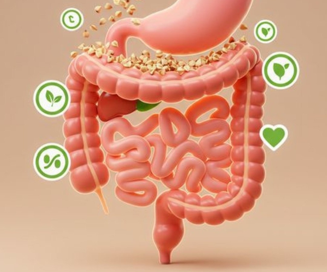Как справиться с ленивым кишечником и не стесняться этой проблемы