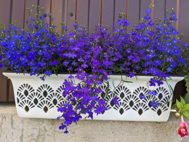 Чем вызывают желание блогеров обложить налогом в 90%