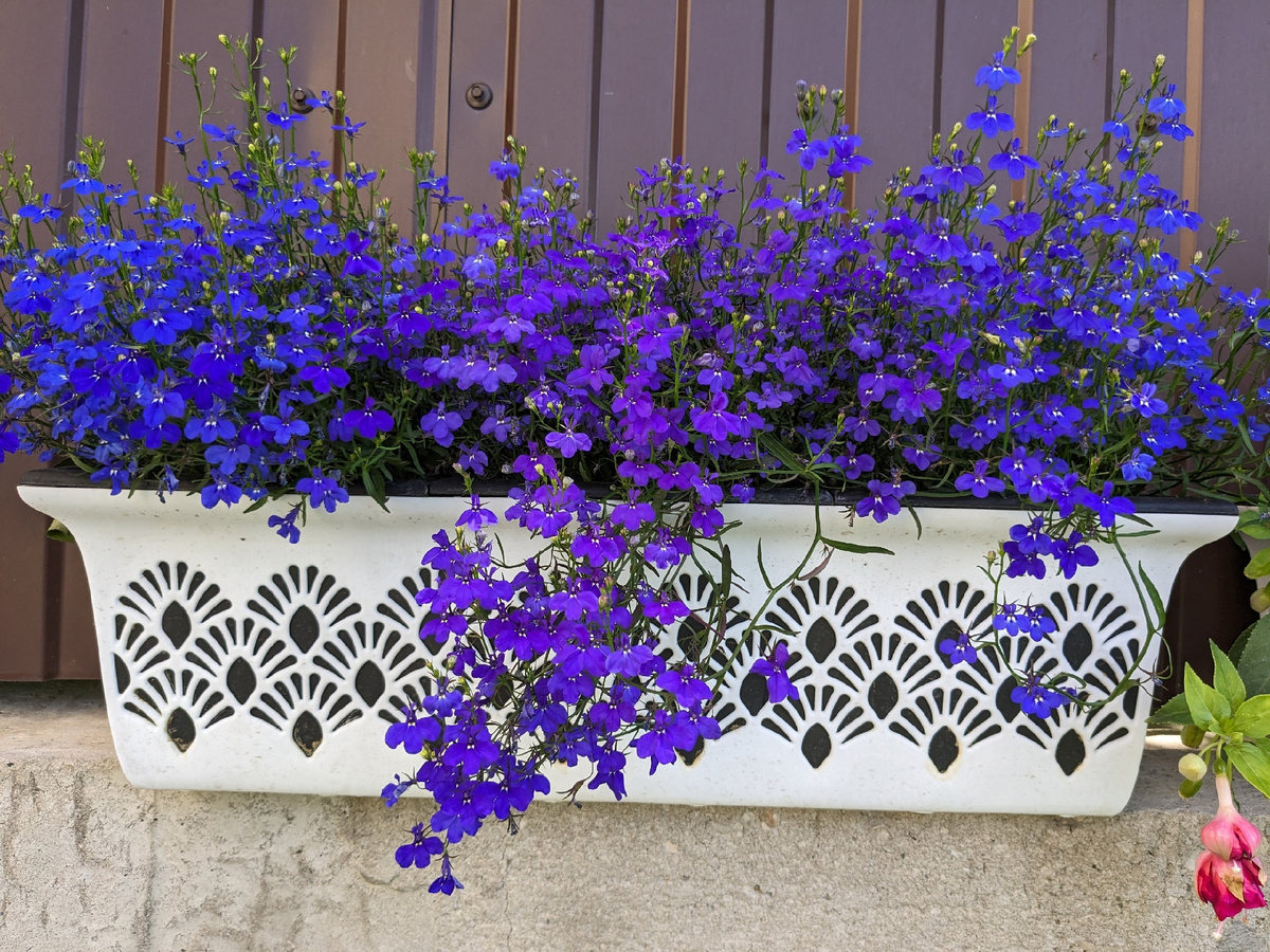 Чем вызывают желание блогеров обложить налогом в 90%