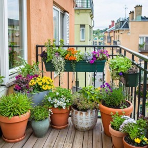 Контейнерный цветник: как создать зеленый оазис на балконе