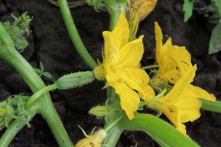 ������� �����, � ������ �� ������: �������, � ��� �������� � ��� ��� ���������