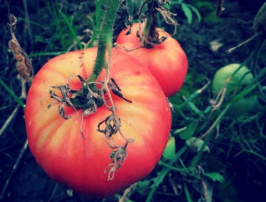 ������ �����: ��� �������� ������ � �������� ����� � ��� ������