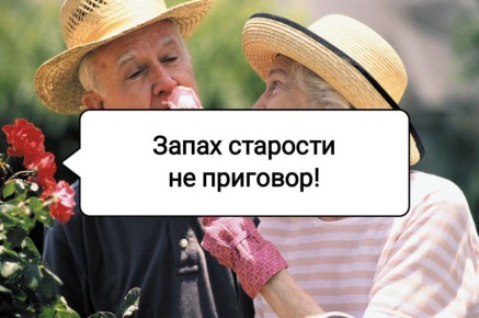 ����� ��������: ��� ����� ����� ������ �� ���������� ��������