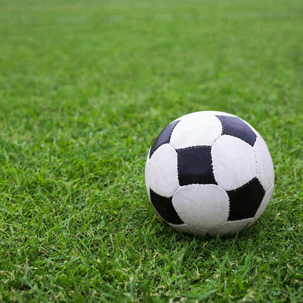 Ярославский «Шинник» сыграл вничью с костромским «Спартаком»