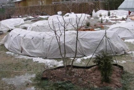 ��� ��������� �������� � ������������� ���� ������ ��� ������� ��������