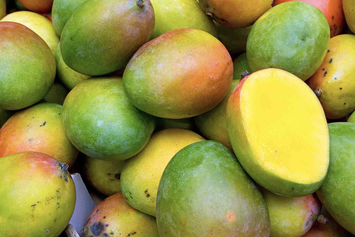 Манго: сладкий роковой фрукт для здоровья?