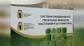 Михаил Евраев: В Ярославле на площадке КЗЦ «Миллениум» провели конференцию «Система продвижения локальных брендов: инструменты и практики»