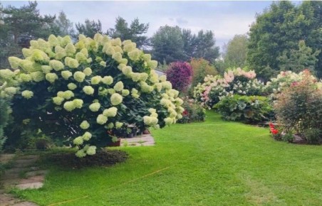 ��� ��������� �������� ���������: ������ �� ����� � ���������