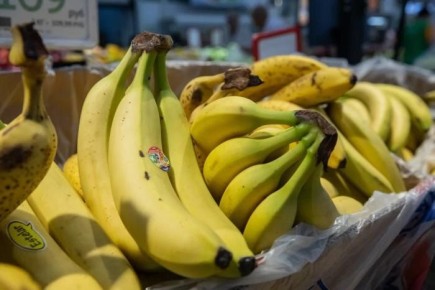 Критика новых ГОСТов: Чернышов называет стандарты абсурдными