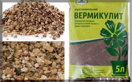 ��� ��������� ��������� ���������� ��� ��������� ����� �� ����������