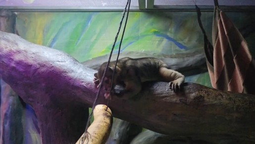 ������ ����, ���������!. ������ ���� � ������� �������