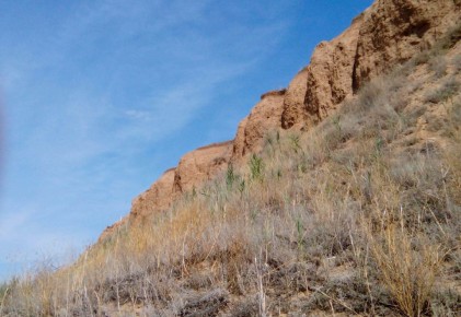 ��� ������ � ������� ���� � ����� � ����