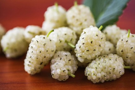 Шелковица: от древних легенд до современного меню