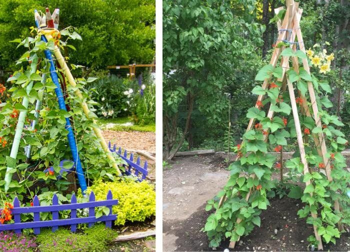 ��������� �������: ��������� ������� ��� ���� ���������