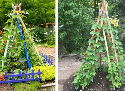 ��������� �������: ��������� ������� ��� ���� ���������