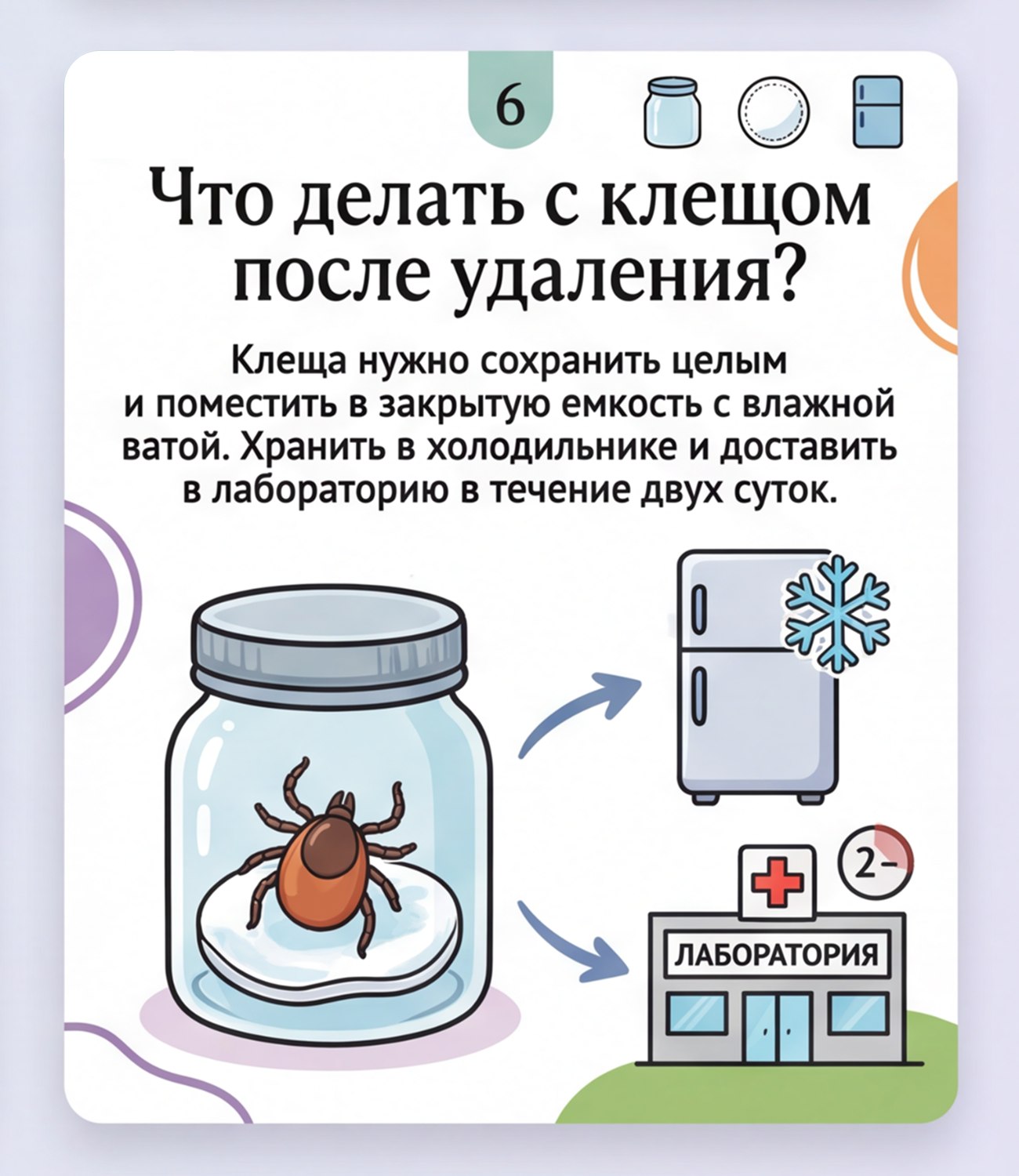 Что важно знать о клещах. В теплый период возрастает риск встречи с клещами Что важно знать о клещах. В теплый период возрастает риск встречи с клещами