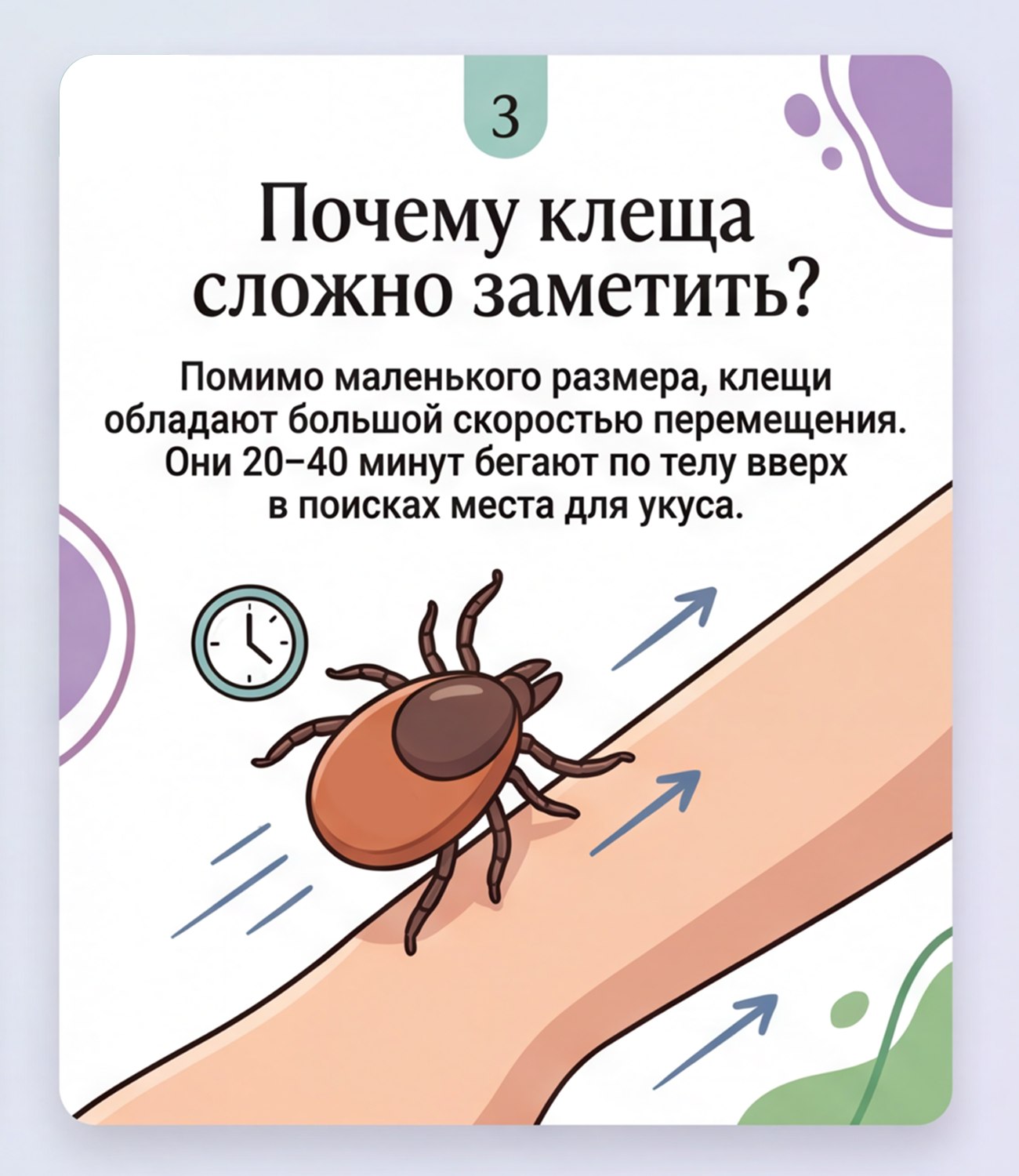 Что важно знать о клещах. В теплый период возрастает риск встречи с клещами Что важно знать о клещах. В теплый период возрастает риск встречи с клещами