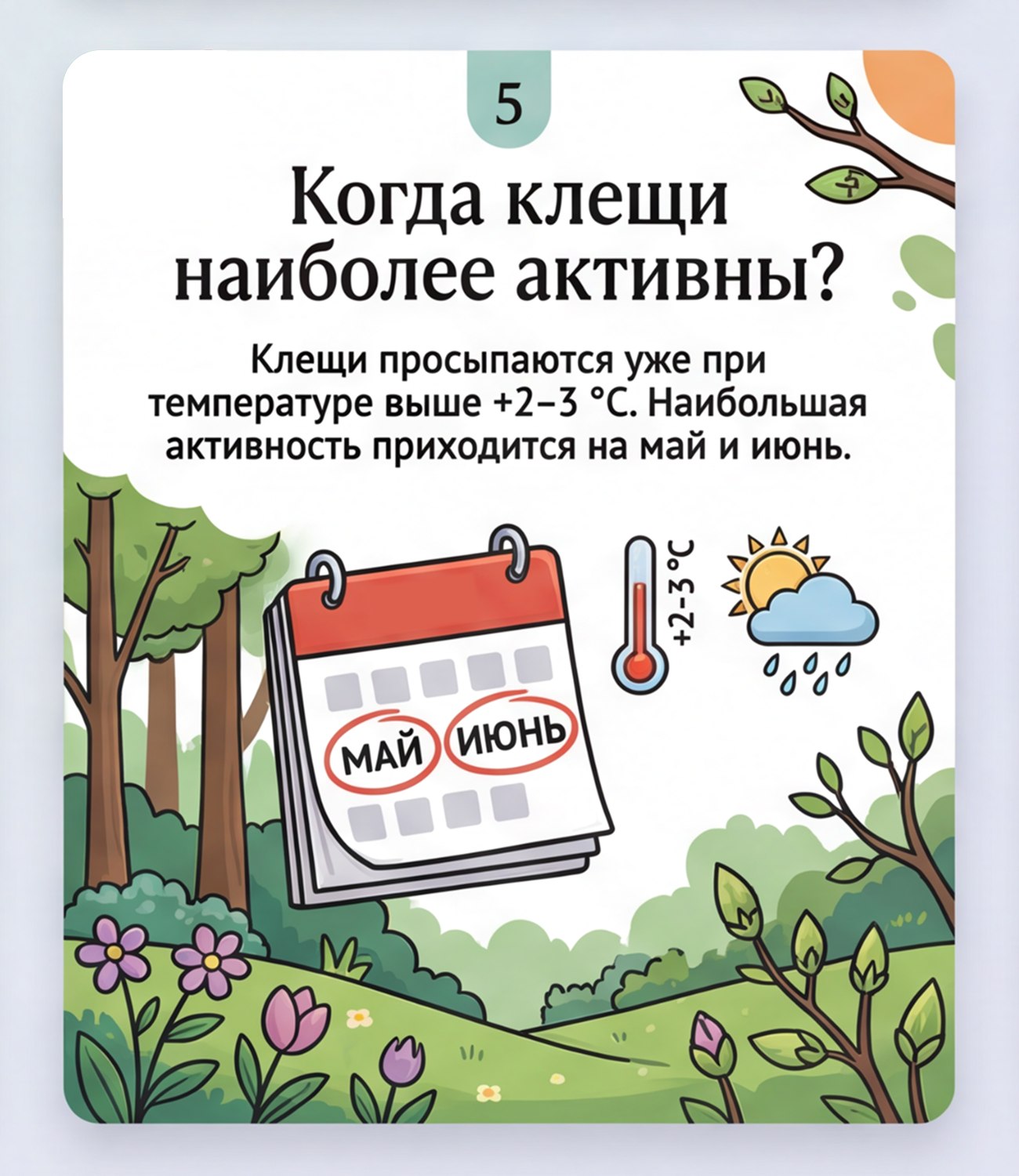 Что важно знать о клещах. В теплый период возрастает риск встречи с клещами Что важно знать о клещах. В теплый период возрастает риск встречи с клещами