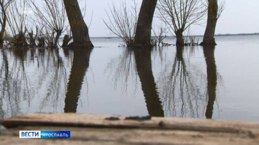 Ярославцев предупредили об увеличении интенсивности подъема воды