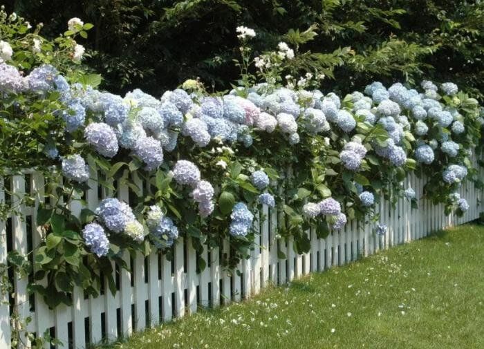 ���������: ��������� ������� ��� ������� � �����