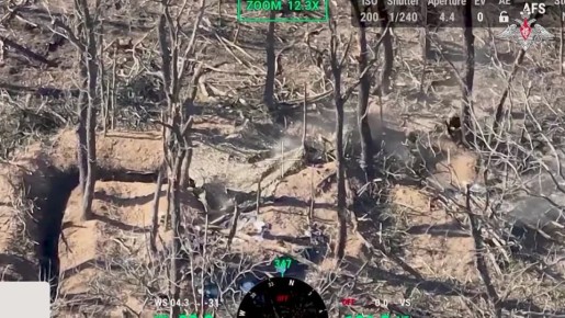 ���������� ������: ��������� ������������� ����������� ����������� ��������� ��������� ������� ��� � ����������� �������