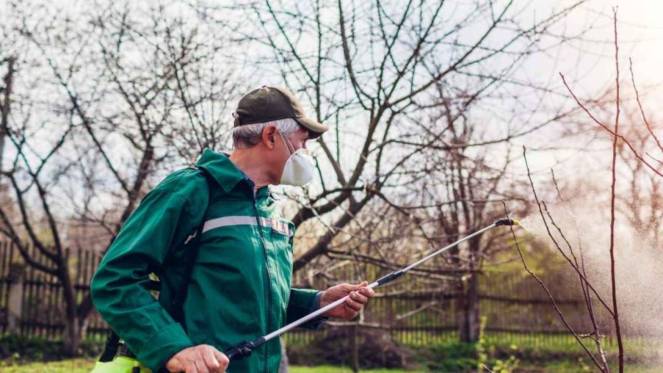 �������� ������� ������: �������� �������� ��� ������� ���� ��� ����?