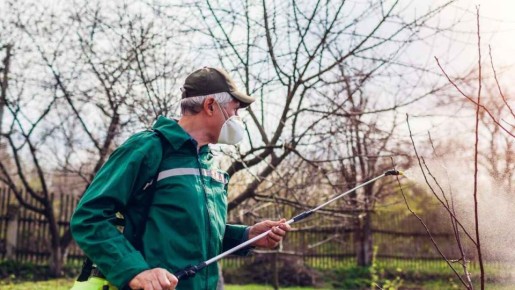 �������� ������� ������: �������� �������� ��� ������� ���� ��� ����?