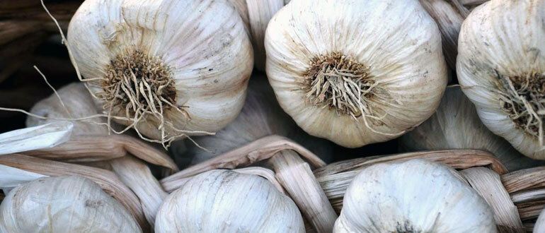 ������ ��� ������ ������: ����� ������� ��� ������ �������?