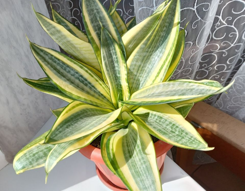 ����������� '����� ������': �������������� ��������������� �������� ��� ������ ���������