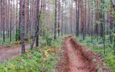 � 15 ������ � ����������� ������� ���������� ������������� �����