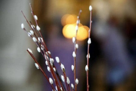 ������� �������: � ������� ������������, ������! ������������, ��������, �����! ���� ������ ���� � ������� �����