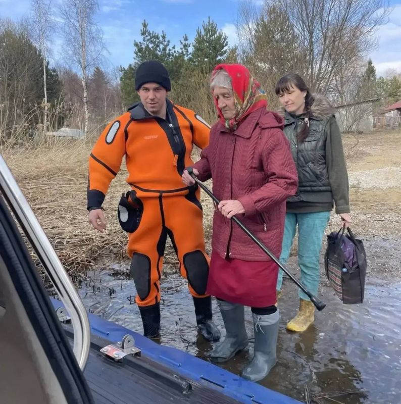 � ����������� ������� ��������� ������������ 84-������ ������� � ������� ���������