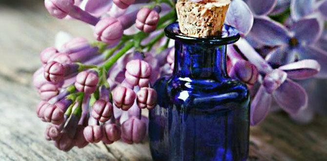 ��������� ����������: ��� ������� ��������� ����� ������ ������