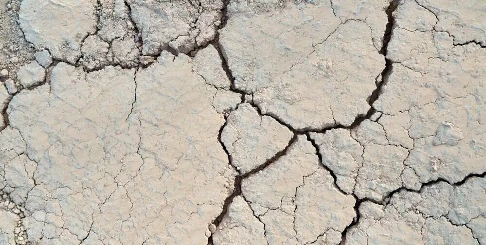 Преобразование глинистых и песчаных почв: от трудностей к возможностям