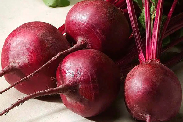 Свёкла Кардинал: секреты успешного роста и уникальные преимущества сорта