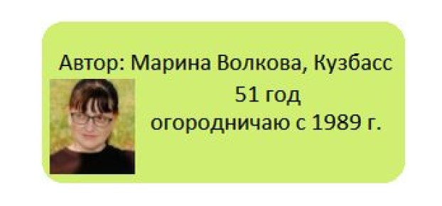 Листья хрена: как восстановить их красоту для кулинарных шедевров