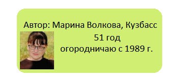 Листья хрена: как восстановить их красоту для кулинарных шедевров