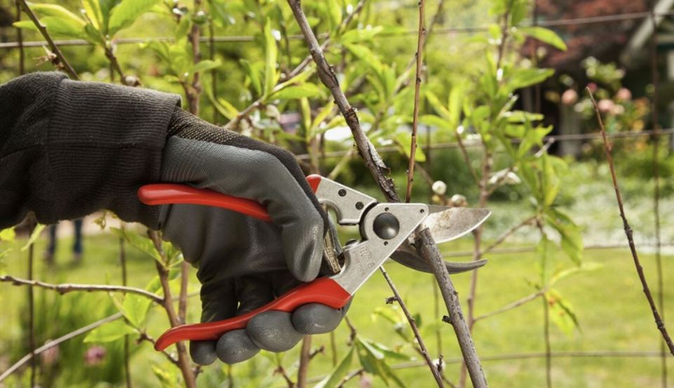 ������� ������� ������� ��������: ����� � ��� ��������� ��������� �� ����� �����