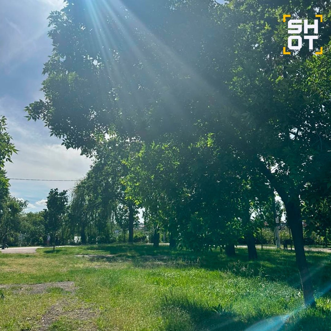 Приколы от погоды из Краснодарского края — в регионе пошёл снег Приколы от погоды из Краснодарского края — в регионе пошёл снег