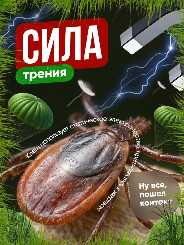 ��� ����� ������� ����� � ������