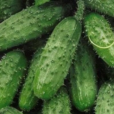 ��������� ��������: ����, ������� �� ��������